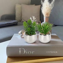Artificial Silver Pot Plant - My Store