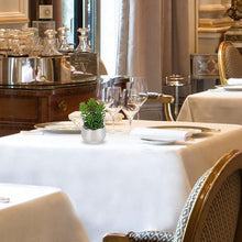 Artificial Silver Pot Plant - My Store